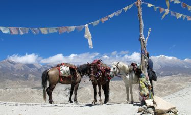upper mustang