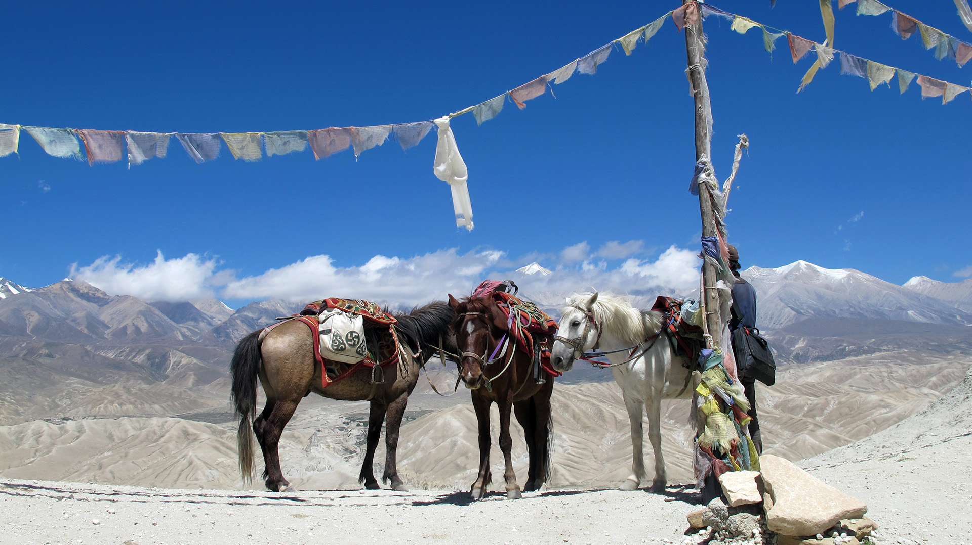 upper mustang